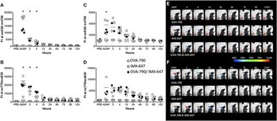 A Novel Cellular Pathway of Antigen Presentation and CD4 T Cell Activation in vivo